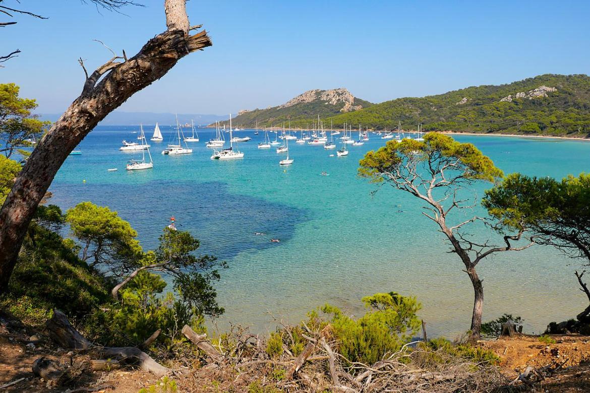 Superbe Logement Au Bord Des Plages Toulon Dış mekan fotoğraf