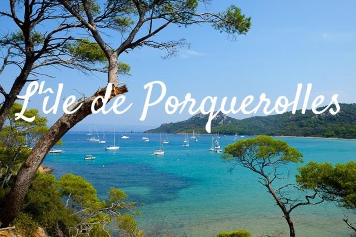 Superbe Logement Au Bord Des Plages Toulon Dış mekan fotoğraf