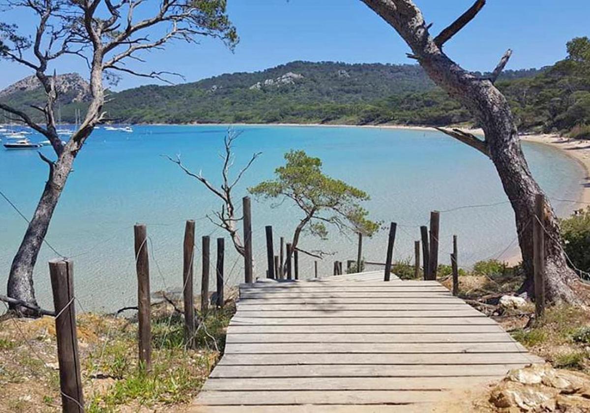 Superbe Logement Au Bord Des Plages Toulon Dış mekan fotoğraf